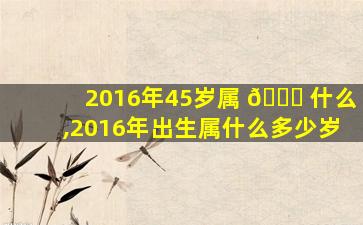 2016年45岁属 🐝 什么,2016年出生属什么多少岁